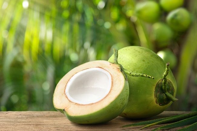 Peluang Bisnis dari Produk Olahan Kelapa yang Menguntungkan